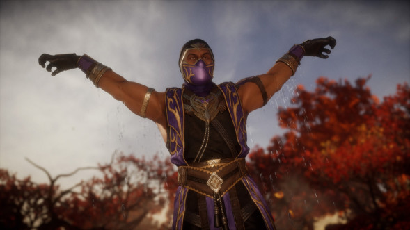 Mortal Kombat 11: Ultimate [PS4, русская версия] в Ярославле